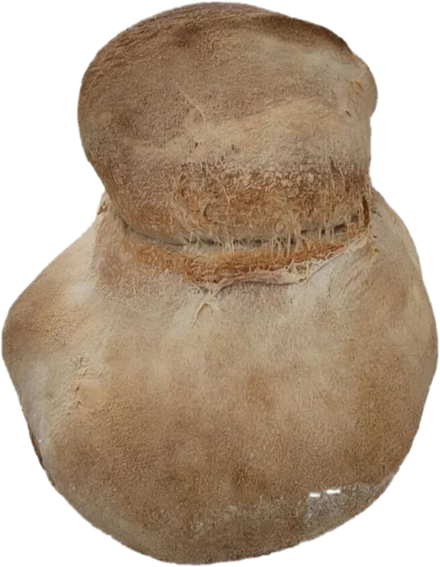 Pão caseiro